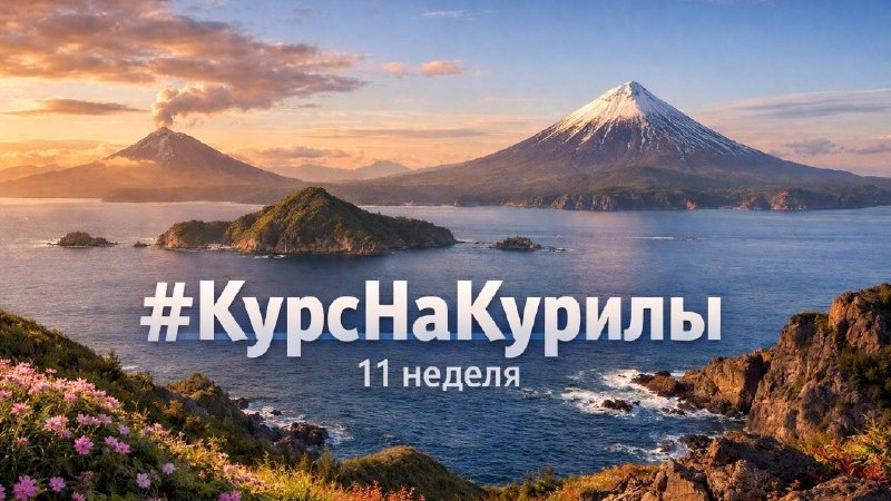 Обложка отчёта «Курс на Курилы», неделя 11