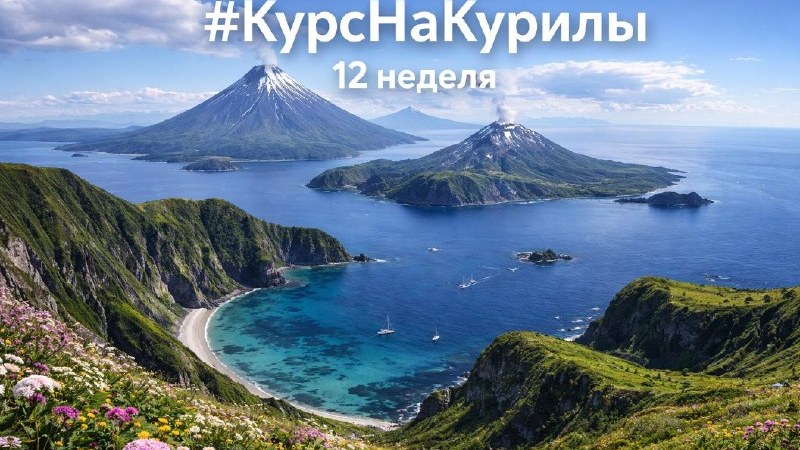 Обложка отчёта «Курс на Курилы», неделя 12