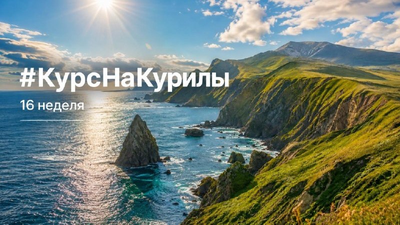 Обложка отчёта «Курс на Курилы», неделя 16