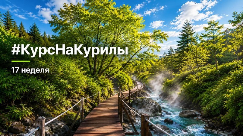 Обложка отчёта «Курс на Курилы», неделя 17